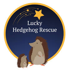 Lucky Hedgehog Rescue logo